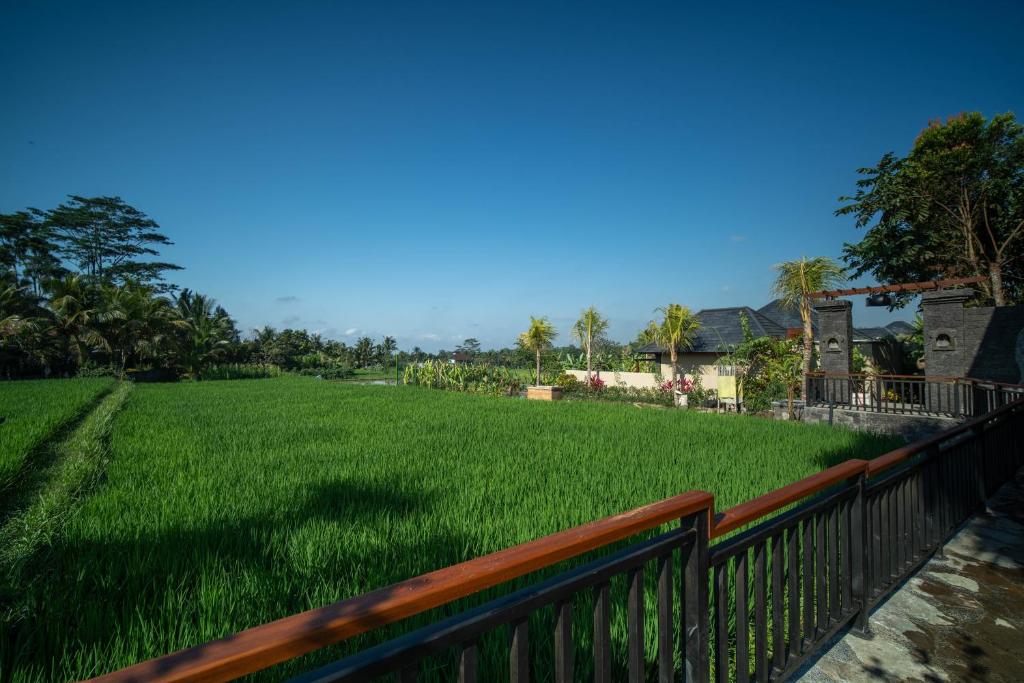 ทัศนียภาพ