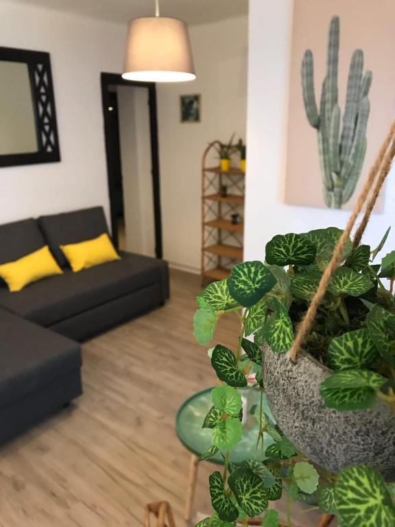 Cactus 2 bedroom Apartment on Calle San Miguel Minutes from the beach BY NAMASTE ELITE - 2