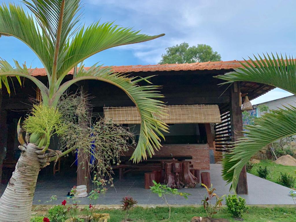 Freedom Jungle Resort photo