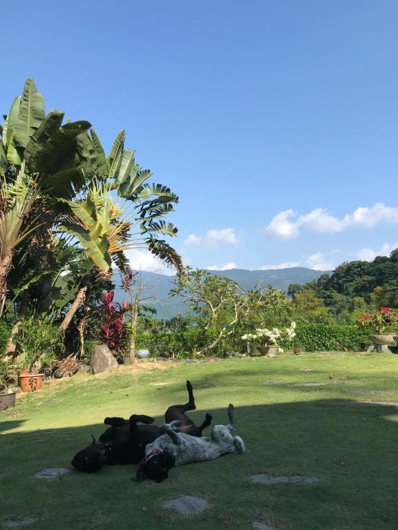 Surrounding environment