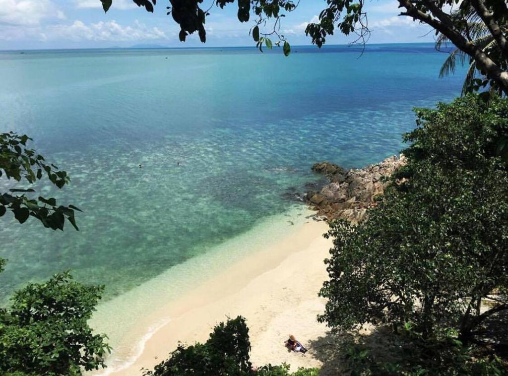 Surrounding environment