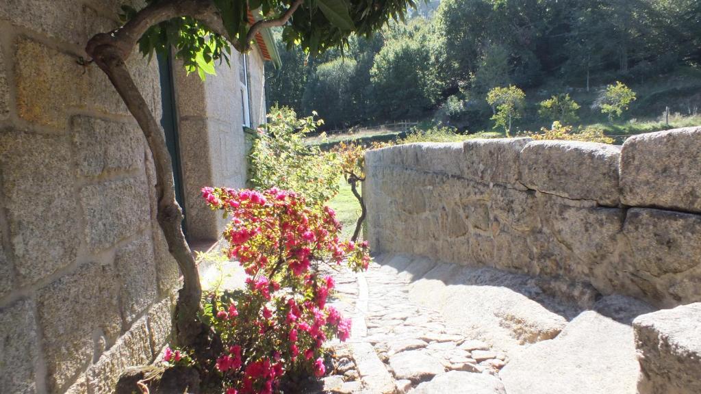 Quinta do Caritel photo