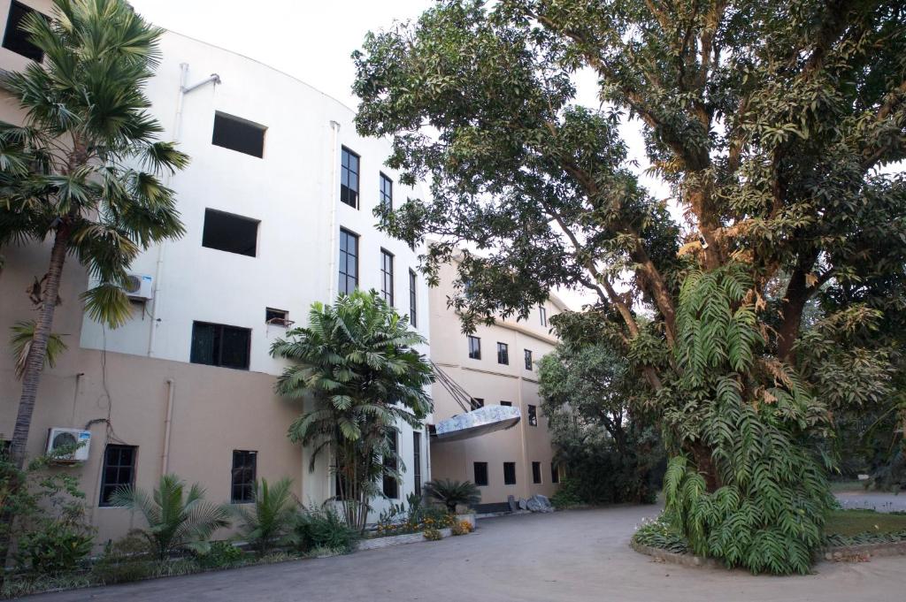 Central Palms Hotel photo