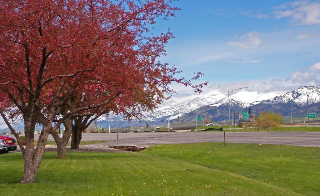 3 Rivers Hotel photo