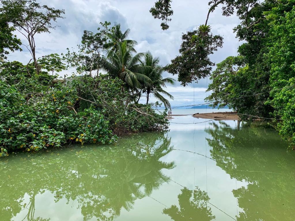 Surrounding environment