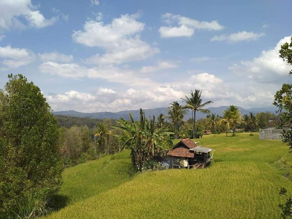 Adhitya Dharma Guest House photo