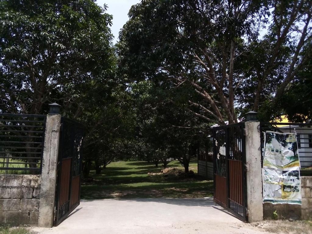 Surrounding environment