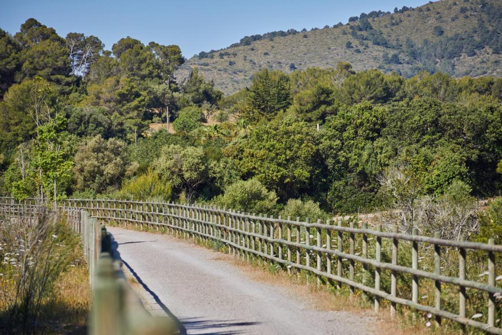 Sport és szabadidő