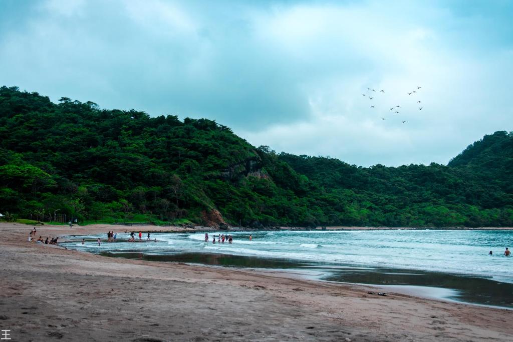 Pico de Loro Cove Hamilo Coast, Apartment 519, Corner Studio Unit, Jacana B Condominium photo