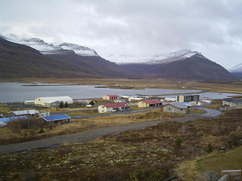 Surrounding environment