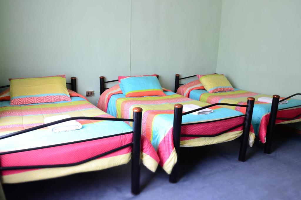 Hostal Aventura Austral - 3