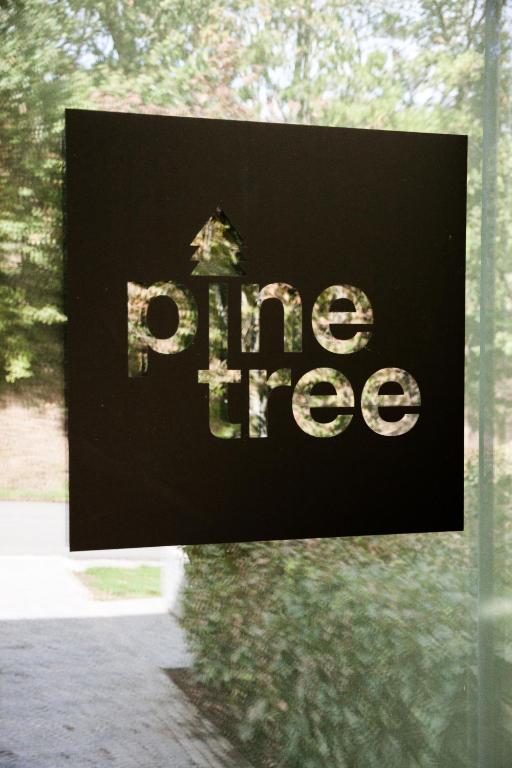 Pine Tree photo