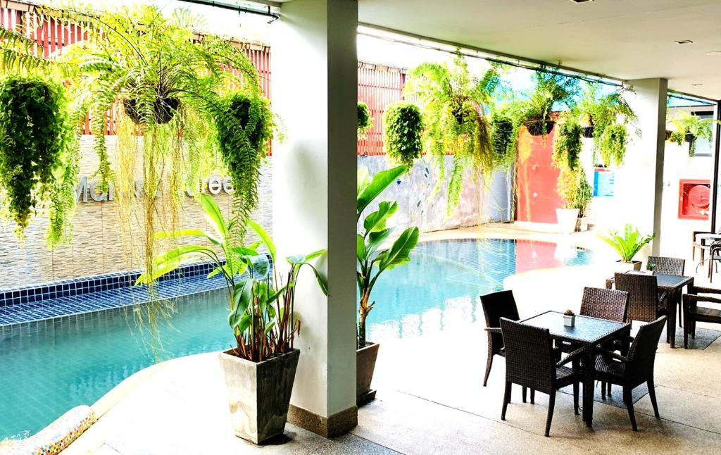 Swimming pool