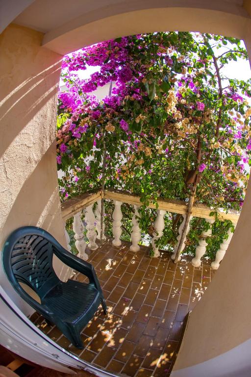 Guest House Lotos - 4
