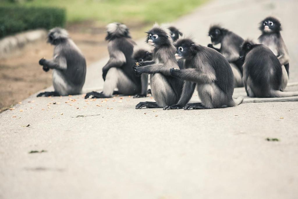 บริการและสิ่งอำนวยความสะดวก