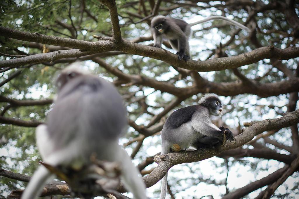 บริการและสิ่งอำนวยความสะดวก
