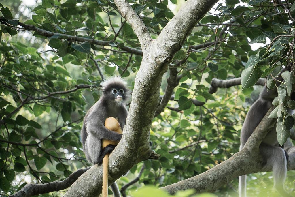 บริการและสิ่งอำนวยความสะดวก