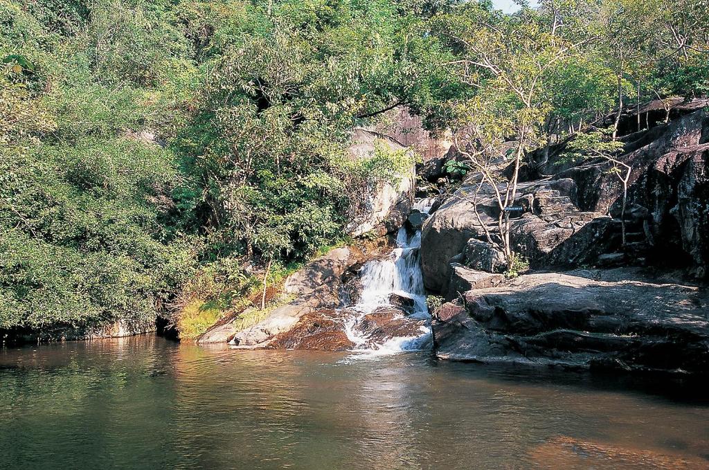 บริการและสิ่งอำนวยความสะดวก