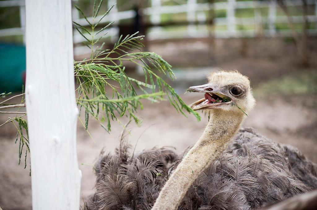 บริการและสิ่งอำนวยความสะดวก