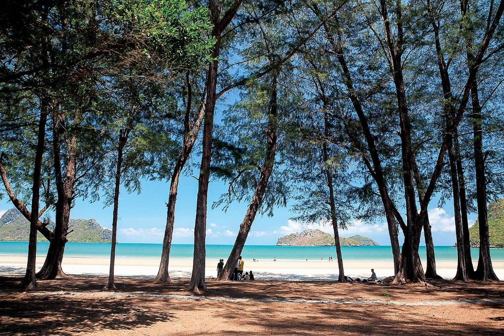 บริการและสิ่งอำนวยความสะดวก