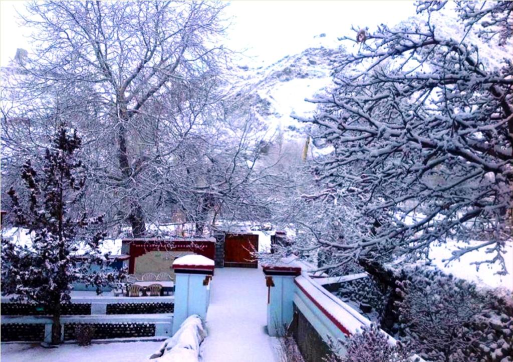 Namra Hotel and Camps - Temisgam photo