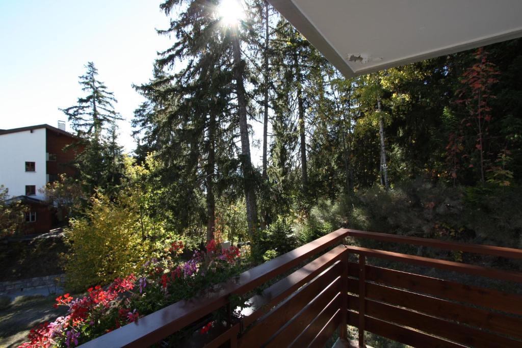 Residence Tsaumiau - 3