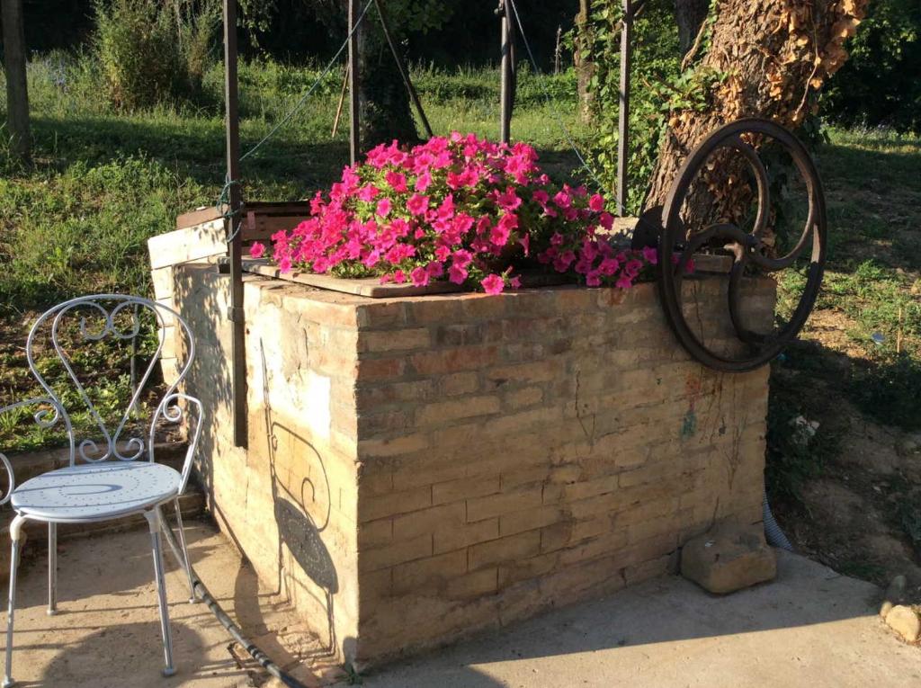 Agriturismo "La Fondazza" photo