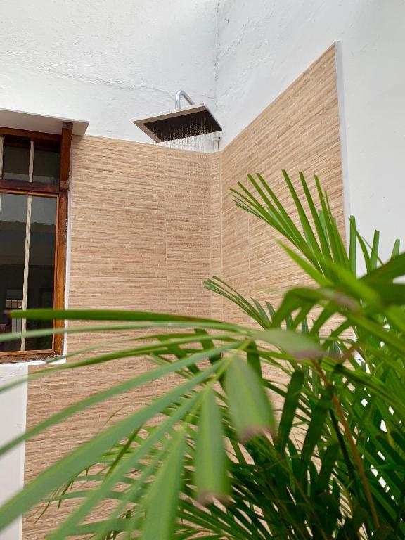 Pedregal Home photo