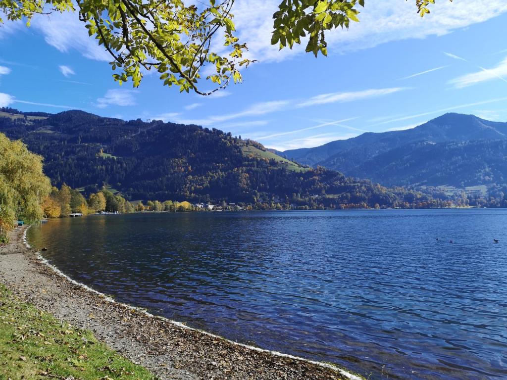 Surrounding environment