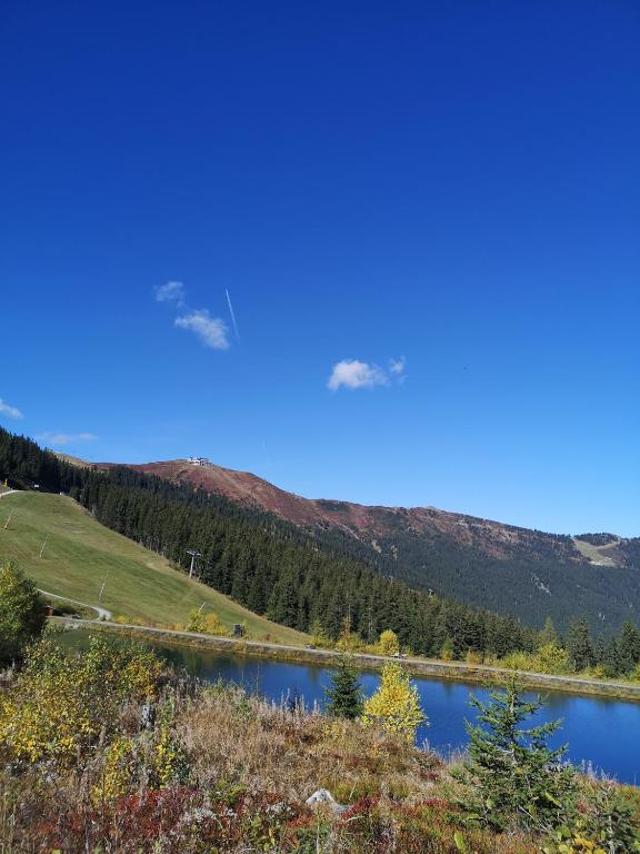 Surrounding environment