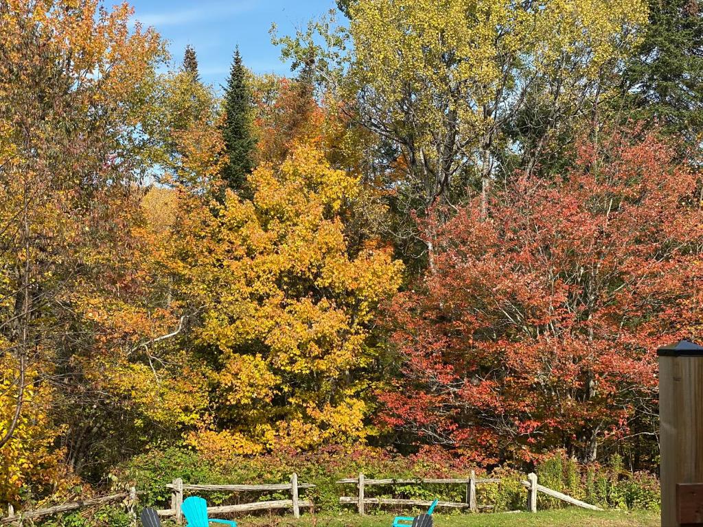 Chalets et Studios Le Vent Du Nord, Lac-Superieur