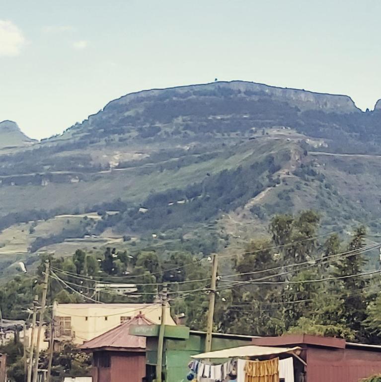 Surrounding environment