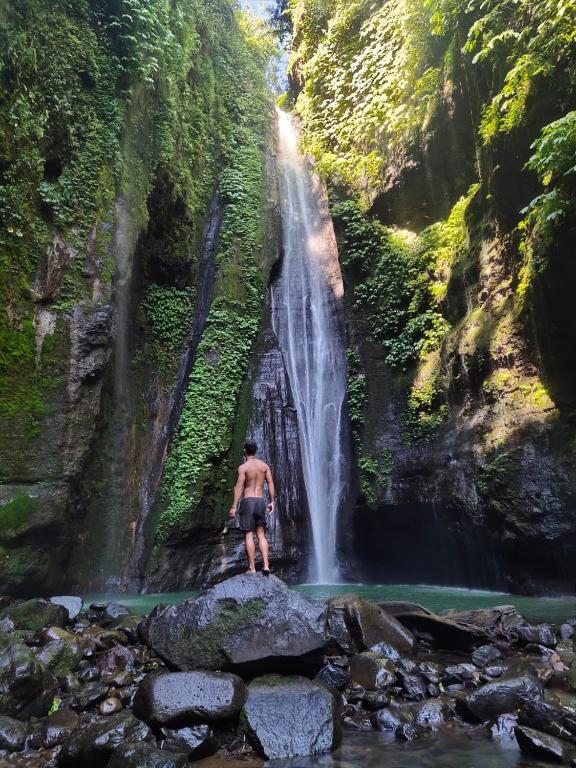 Sekumpul Accommodation — Hotel in Bali