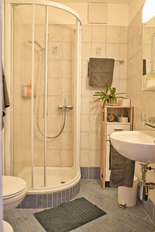 Zentrale Wohnung in St. Moritz mit großem Balkon - 5