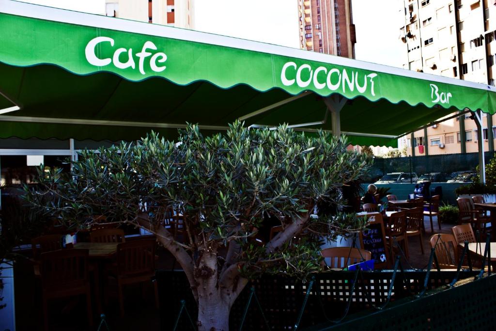 Apartamentos Playamar — Restaurant & bars in Benidorm, Valencian Community