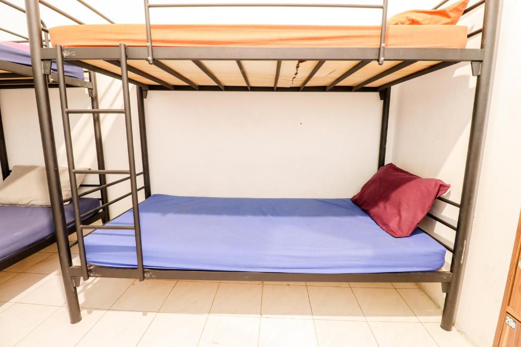 Arjuna 31 Homestay photo