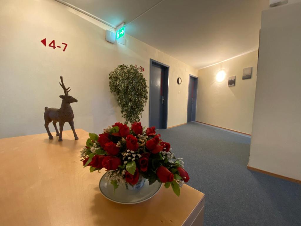 Hotel Hirschen Hinwil photo