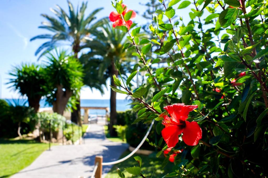 Globales Gardenia — Beach in Fuengirola, Andalusia
