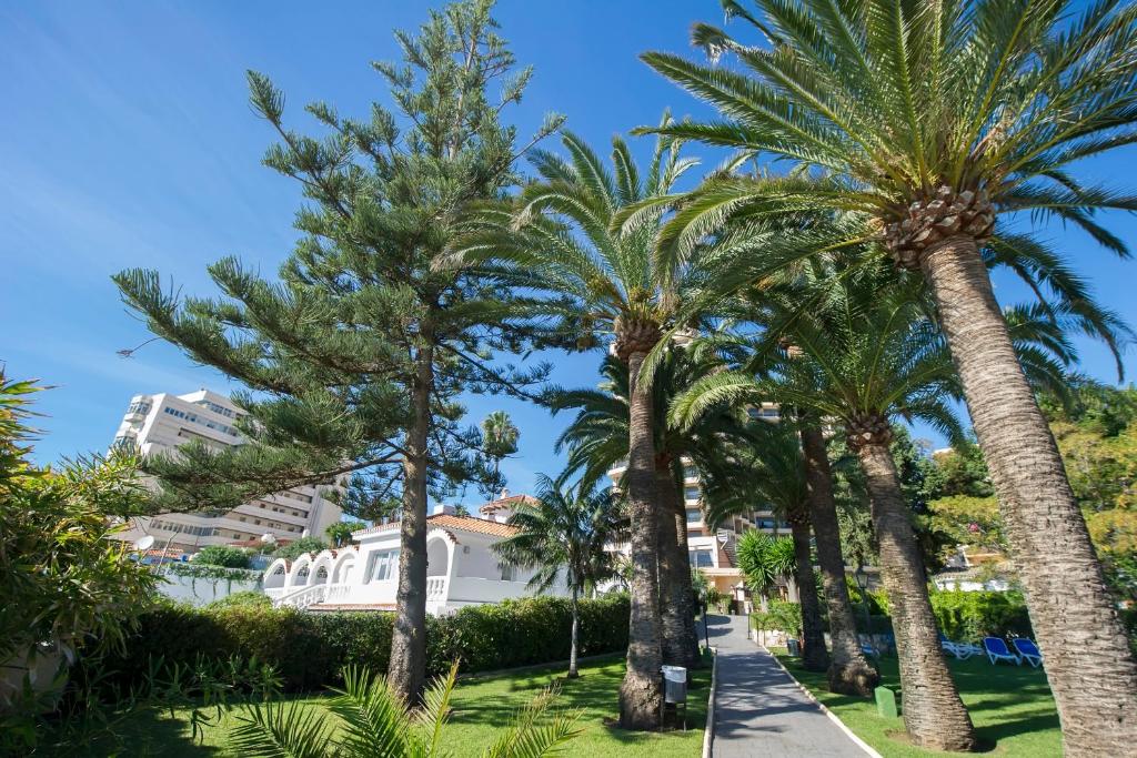 Globales Gardenia — Attractions in the area in Fuengirola, Andalusia