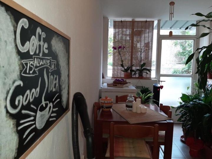 Guest House Ivan - 4