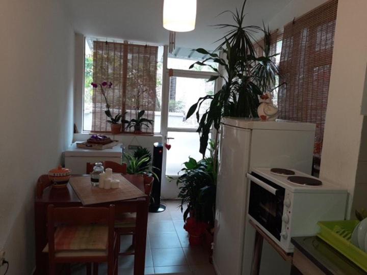 Guest House Ivan - 5