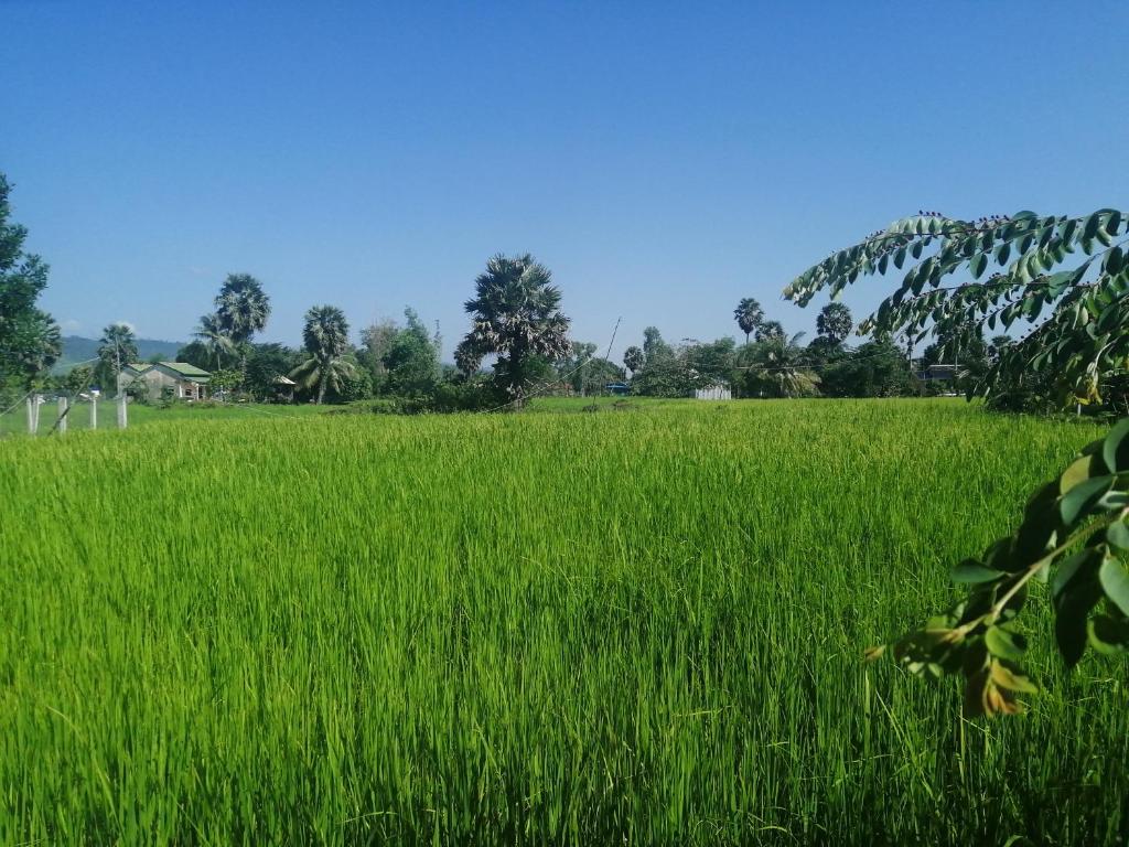 Surrounding environment