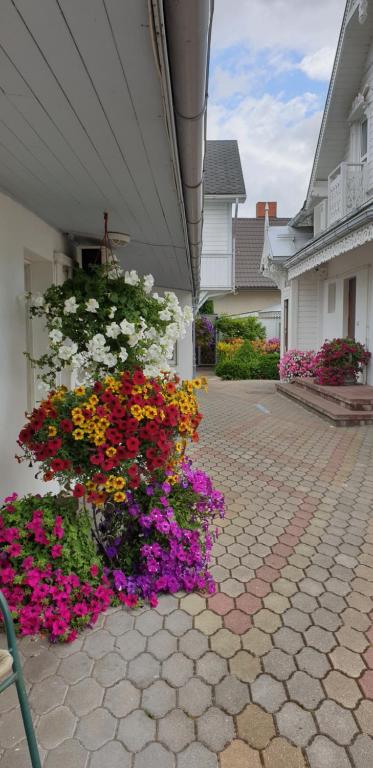Naiza Guesthouse and Apartments photo