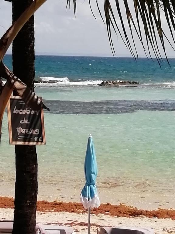 Studio kassav, Saint-François