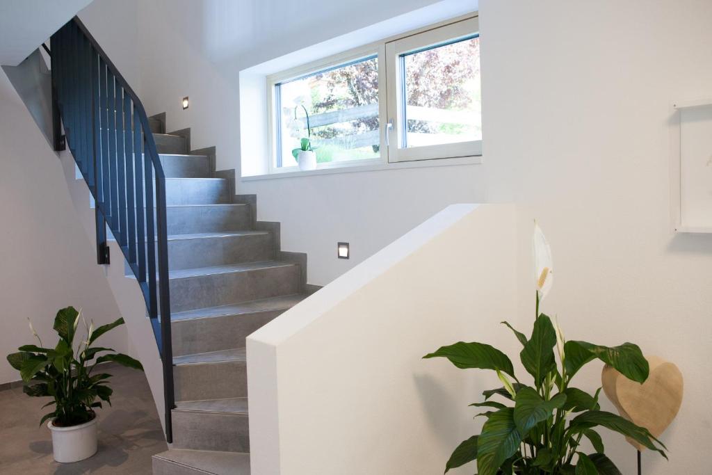 Haus FreiRaum - 4