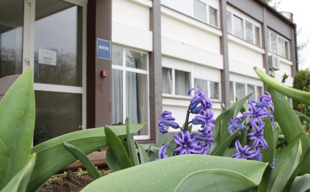 Hostel Rakitje-Rakitje — Hotel in Kerestinec