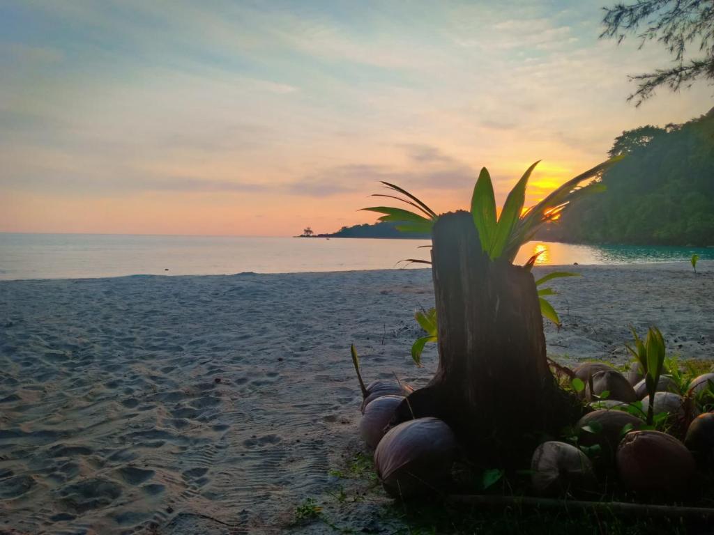 Walk in homestay photo