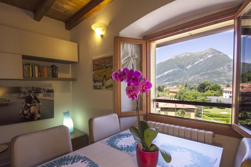 Appartamenti Villa Giulia - 3