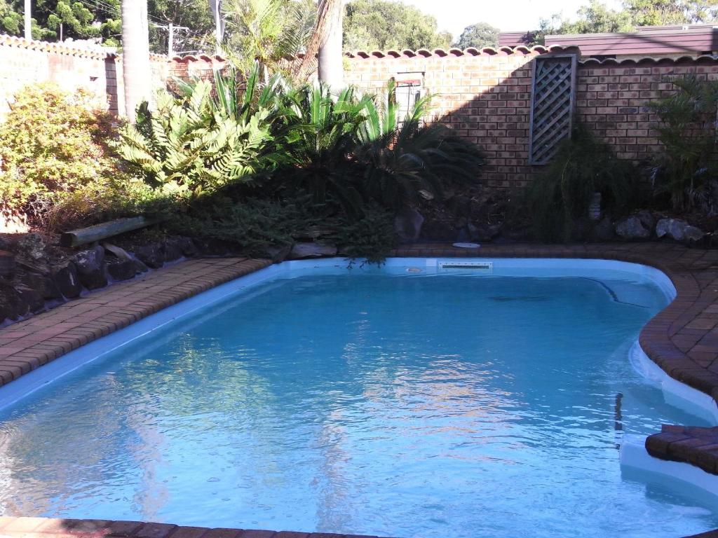 Swimming pool, Central Motel in Port Stephens