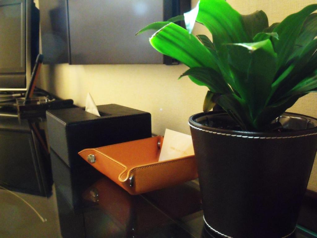 Fukuoka Hotel Tenjin Place Additional